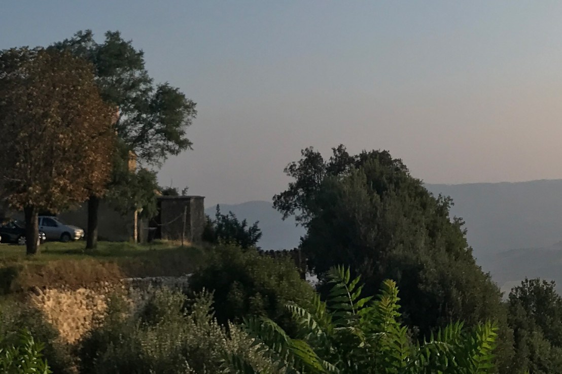 Shaking off a Stomach&nbsp;Bug