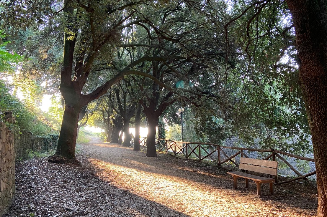 Separate Walks and a trip to Chianni&nbsp;(21/08/2021)