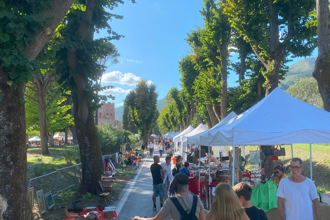 Turnabout is Fair Play (11/09/2022)