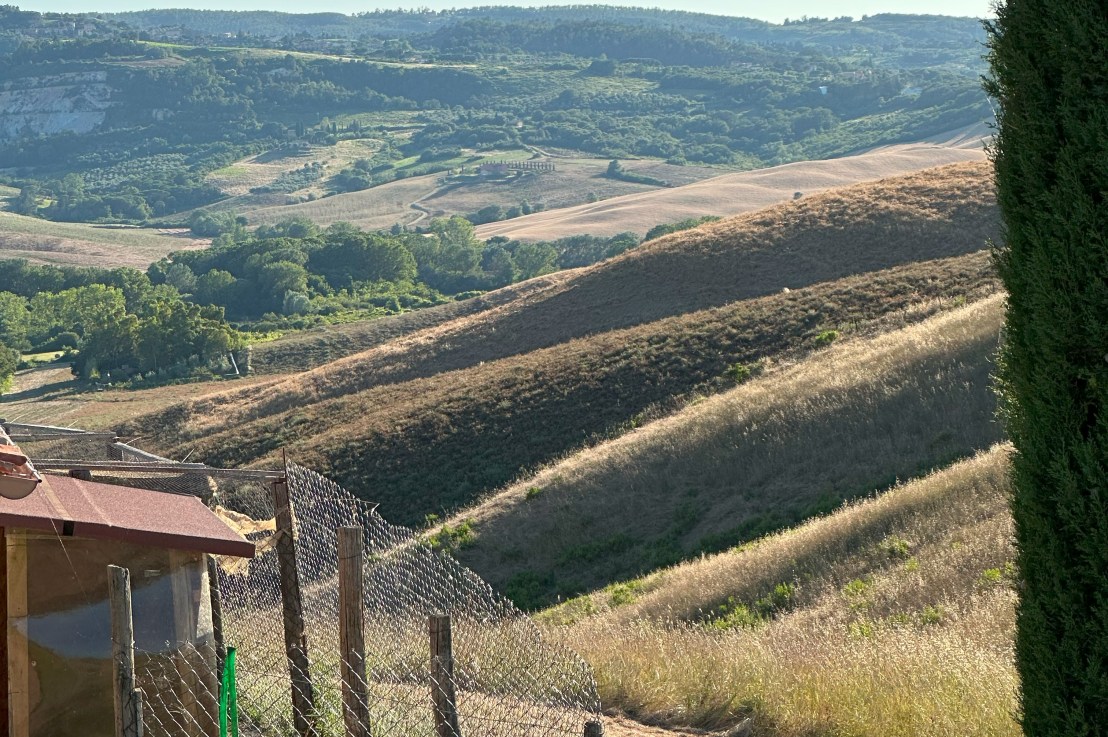 Dinners with Friends Old and New, and a Return Home (23/06-25/06/23)