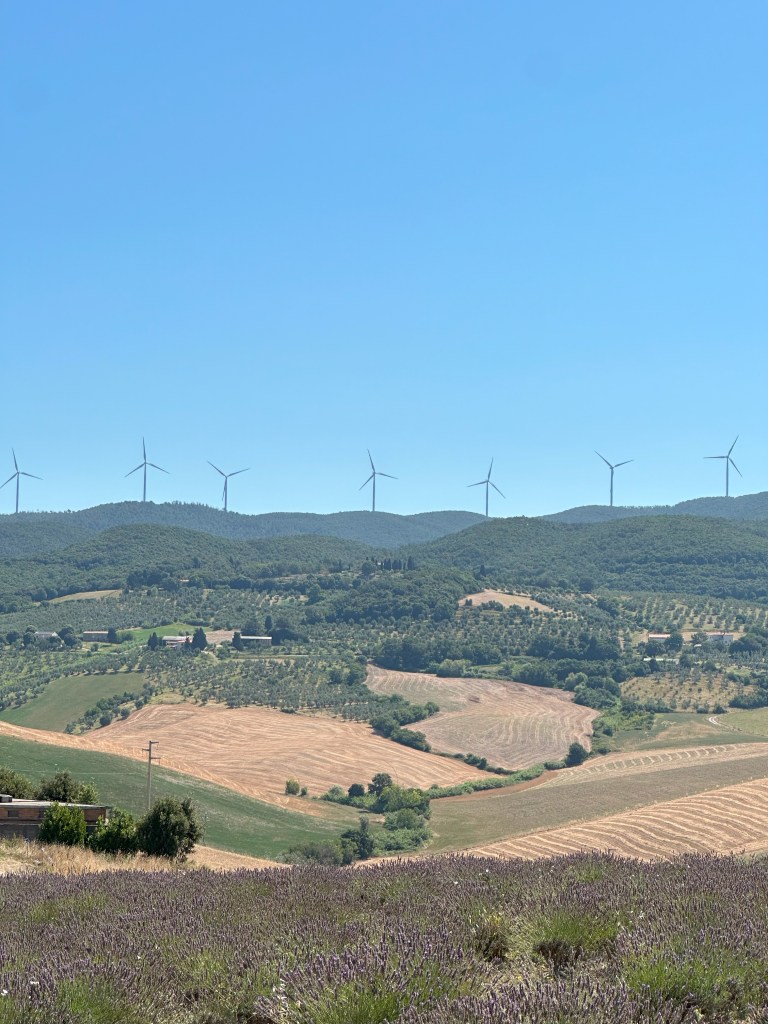 Tummy Troubles, Wellness and Livorno&nbsp;(04-12/07/2024)